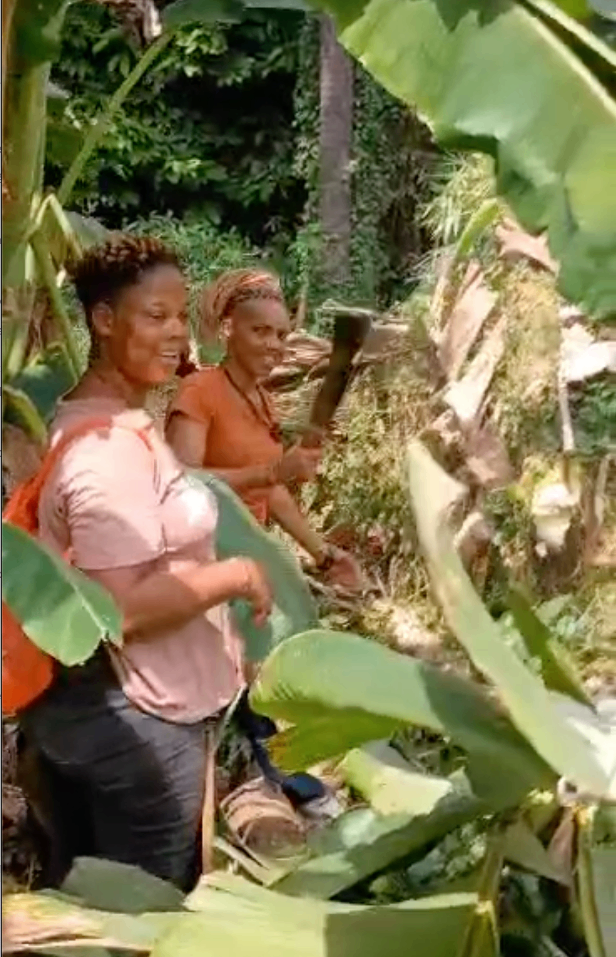 Jeunes femmes cultivant un champ de légumes à Adéta